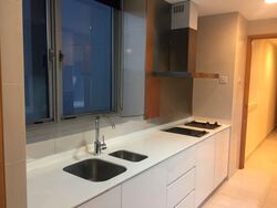 Park Infinia At Wee Nam (D11), Condominium #559812871
